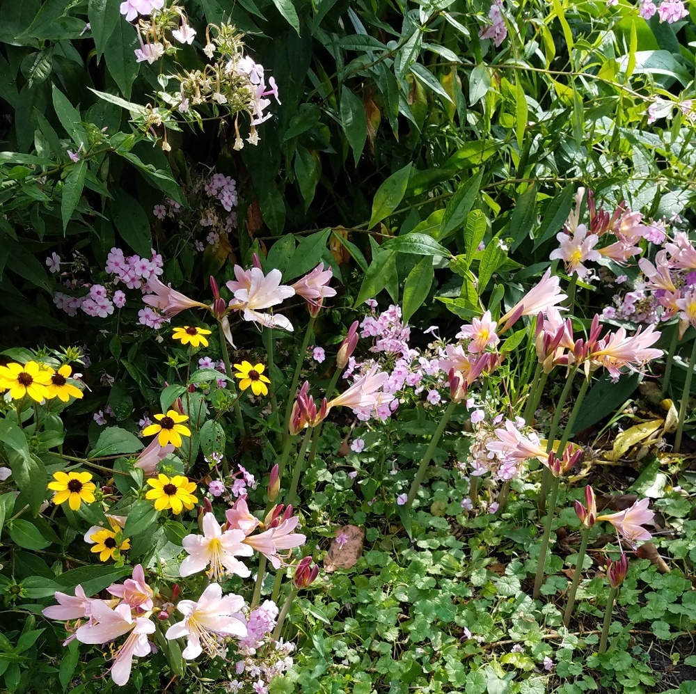 😊 Meet the Posher